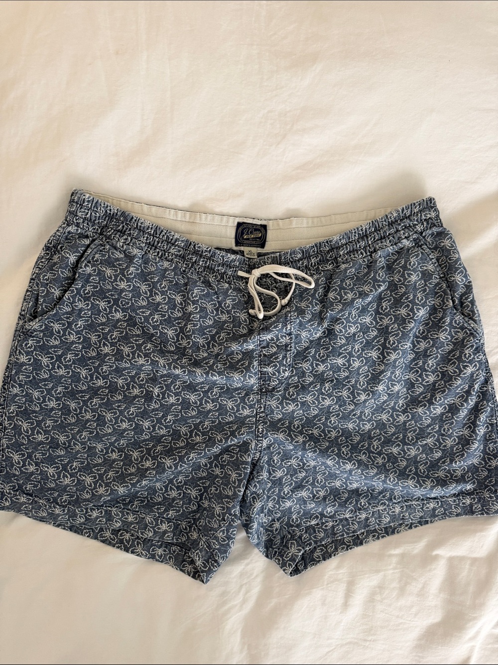 J. Crew Sporting Life Classic Blue and White Patterned Men’s Casual Shorts